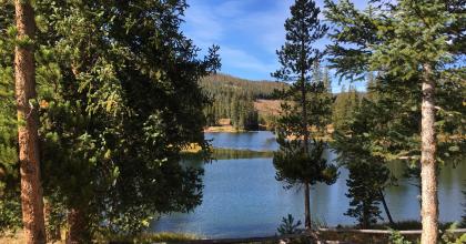 CO State Forest 