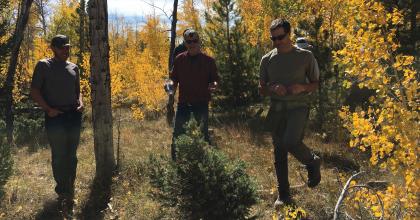 Fall at the CO State Forest 