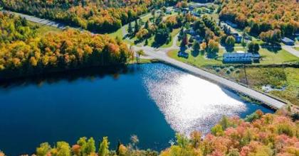 ford forestry center