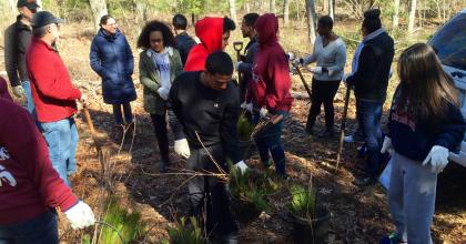 a group of students planting trees in a forest