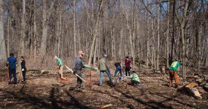 People planting trees in the woods