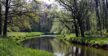 Columbus county park waterway in summer