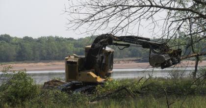 A processor working on the lowland forest harvest at the LMR property. 