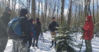 Field staff surround a red spruce. 