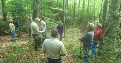 Seven adults stand in the forest and have a conversation