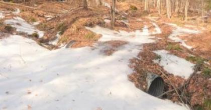 Culvert in the project area.