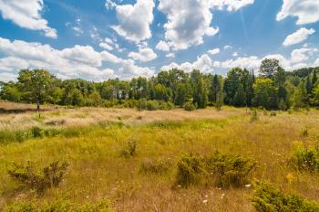 A mix of grassland and forest at the Harris Preserve. Photo credit: Little Traverse Conservancy