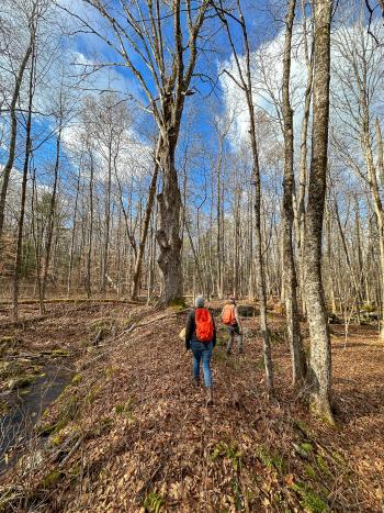 Managers surveying the preserve