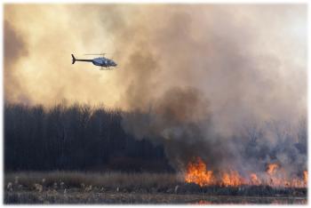 Prescribed fire.jpg Prescribed fire may be an important management tool in uplands and lowlands across the Little Winnie project. Photo credit: Kelly Barrett.