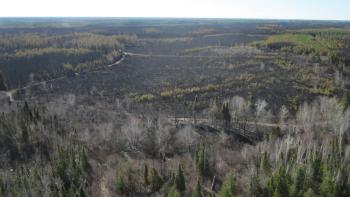 An aerial photo of the Palsburg fire. 