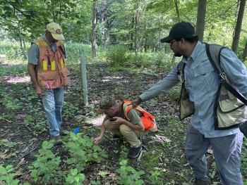 Individuals in the forest observing plants for research