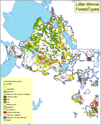 Forest type map for the Little Winnie project area. Forest type map for the Little Winnie project area.
