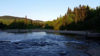 Forests in the Second College Grant.