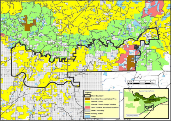 A map of the Stony project area and Management Areas on the Superior National Forest. 