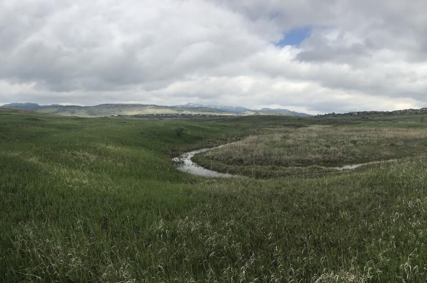 A trail running through a grassland and passing a wetland area