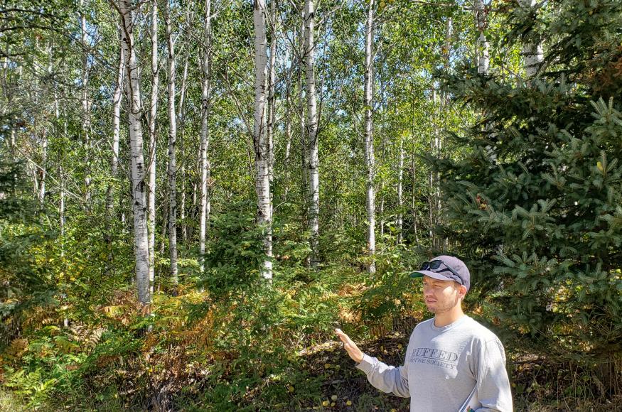Forest Ecologist Sawyer Scherer explains the management history of a stand during a NIACS field tour in August 2021.