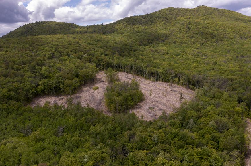A birds eye view of a forest opening