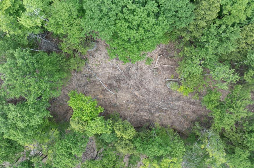 Aerial photo overlooking a forest gap after a harvest