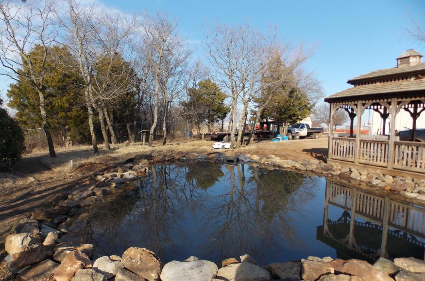 Wetland pond undergoing restoration, 2019
