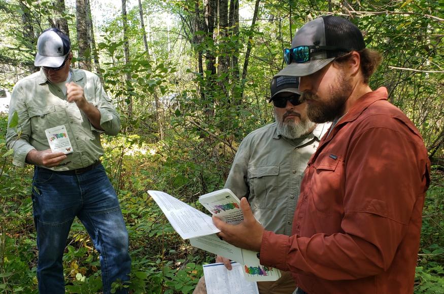 Blandin foresters consider climate change impacts during a NIACS field tour in August 2021. 