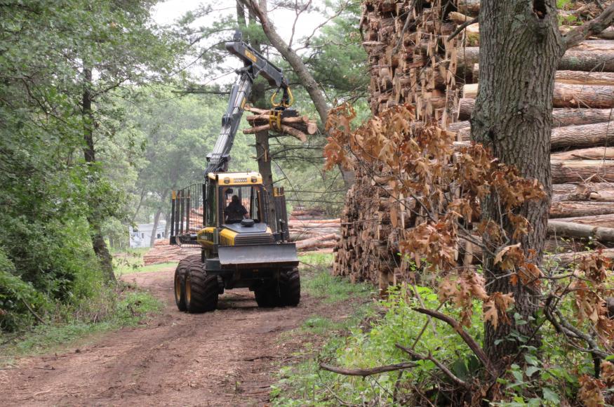 A forwarder transporting cut logs to a landing area at the LMR property. 