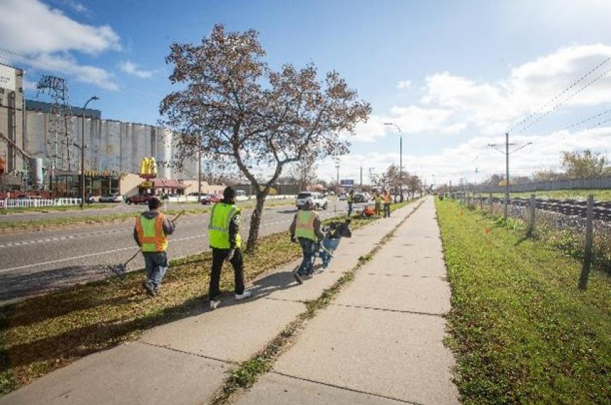 Planting crew walking along a roadside with a few scattered trees. 