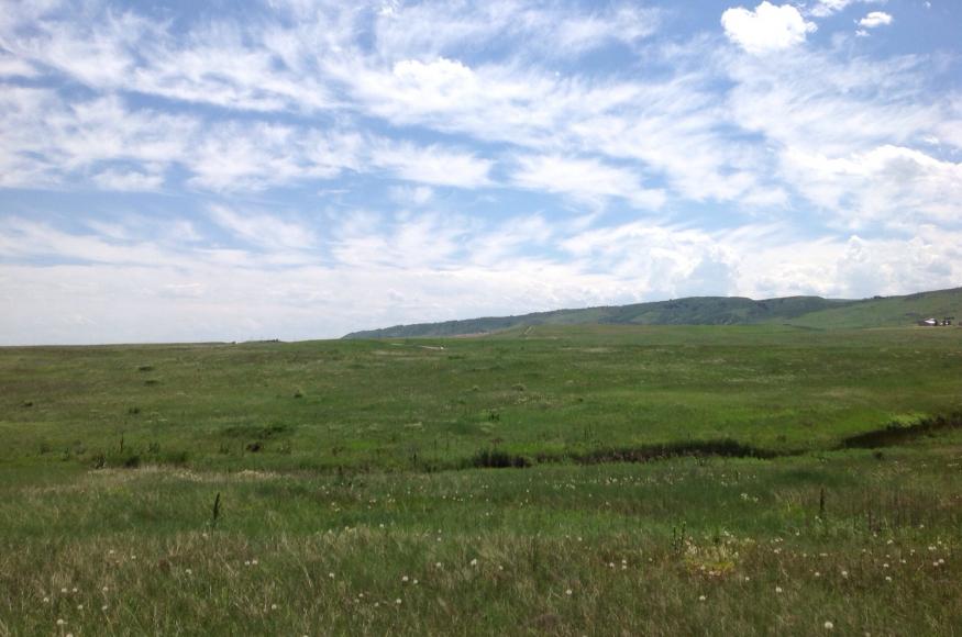 Grassland with sky above