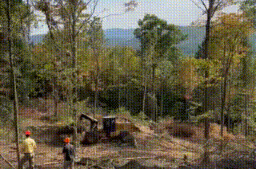 Video of the harvest operation