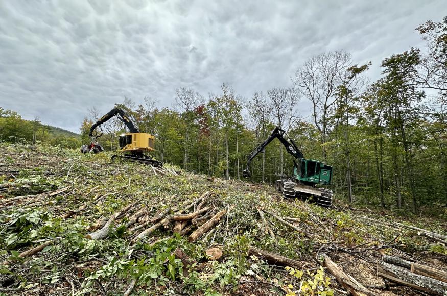 Forestry equiptment at the project site