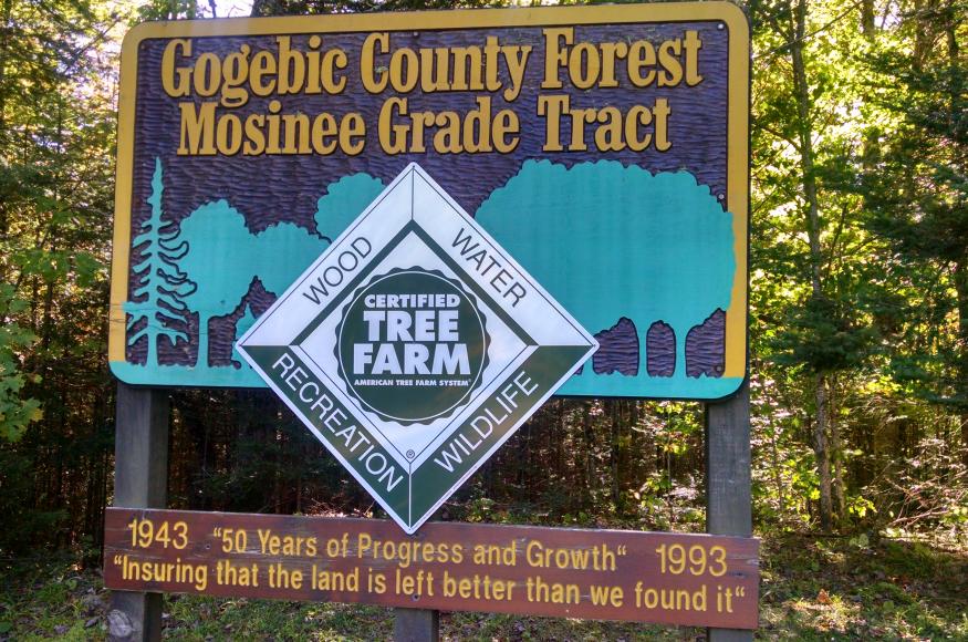 Gogebic County Mosinee Grouse Enhanced Management System Climate