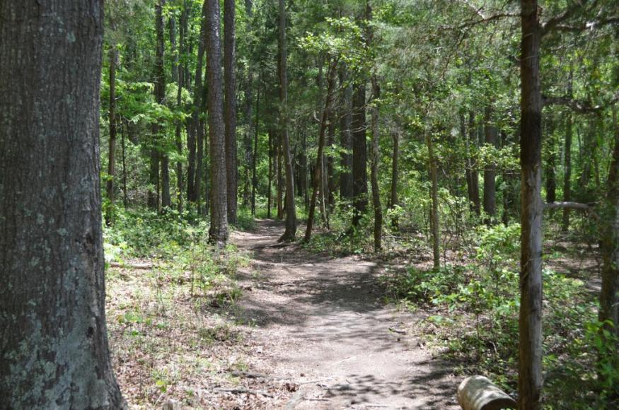 Mecklenburg County Latta Nature Preserve Climate Change Response