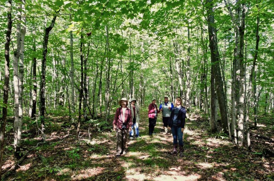 People enjoying the forest at the Emily Min Hunt Preserve