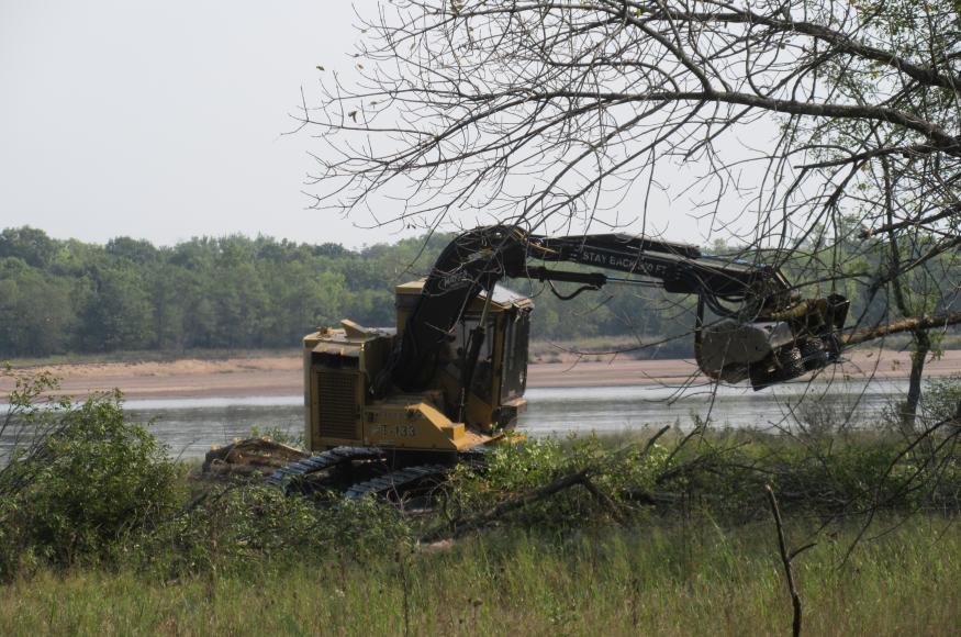 A processor working on the lowland forest harvest at the LMR property. 