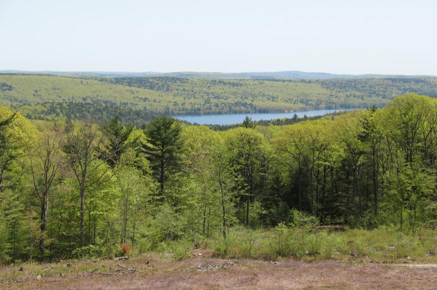 A forested landscape with a water reservoir visible in the distance.