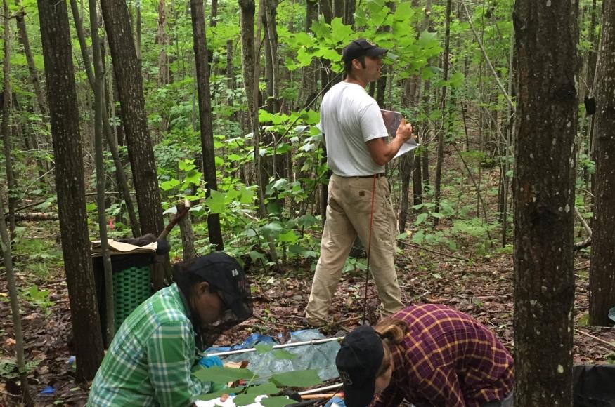 UMBS researchers conducting monitoring at the site. (Credit: Jenny Kalejs)