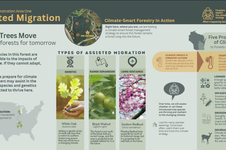Interpretive panel explaining assisted migration on site