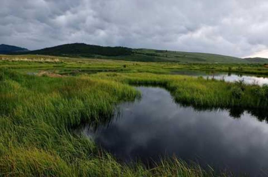 One of the several ponds located within the Soda Lake wetlands.