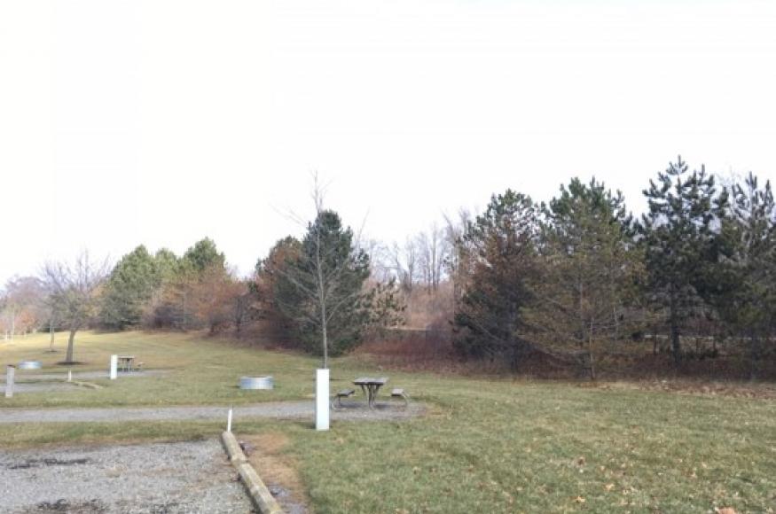 grassy area with picnic tables, fire rings, parking spaces, and newly planted trees.