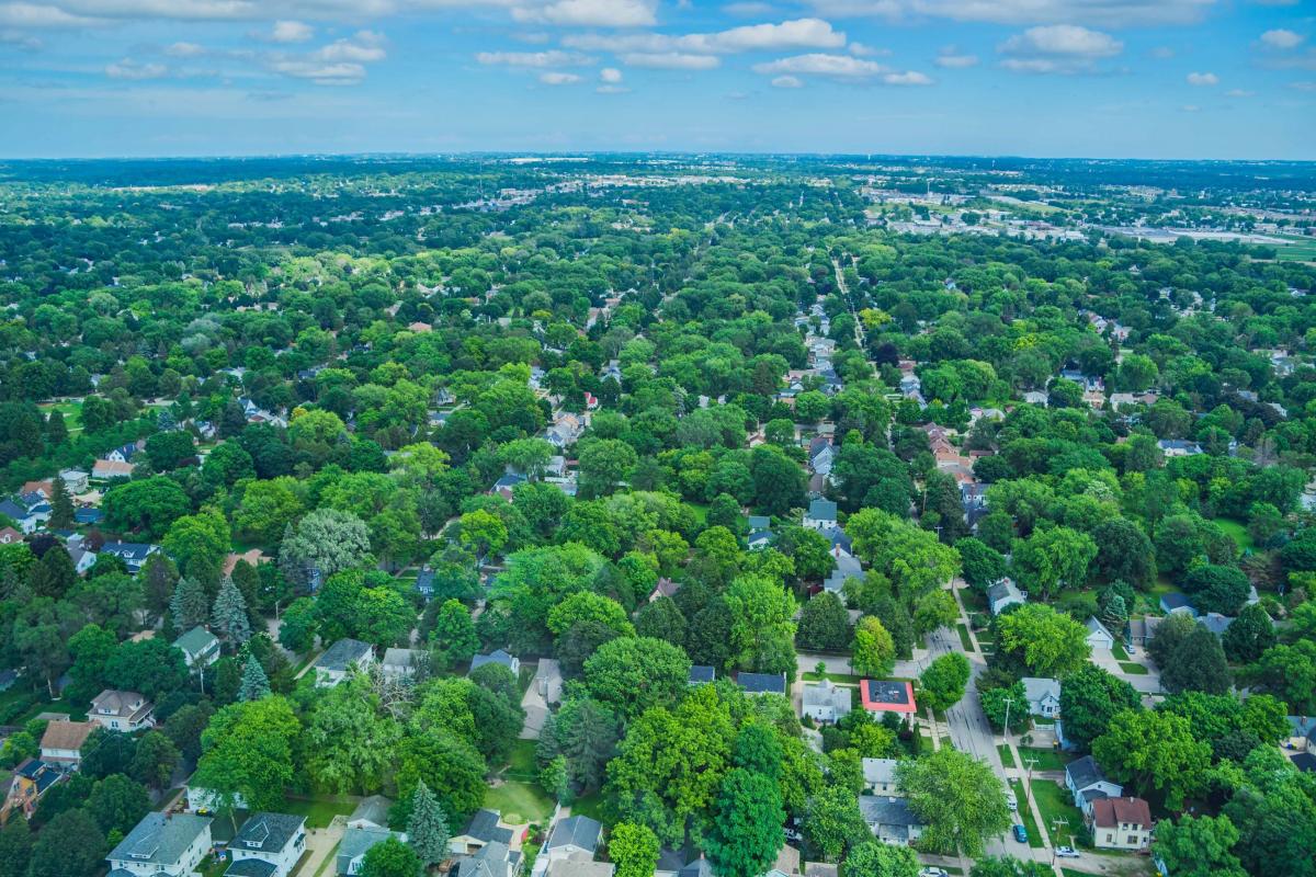 Green Bay Forestry. Source: City of Green Bay.