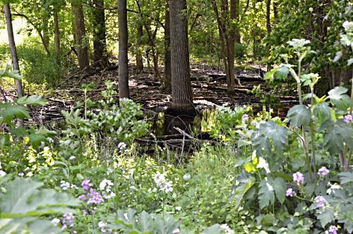 Colonial Park, Racine. Source: City of Racine.