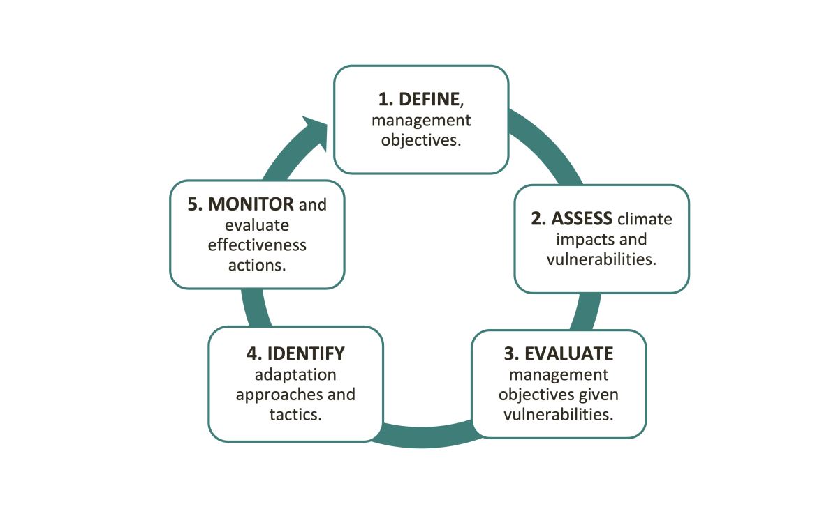 Adaptation Workbook steps 1 to 5