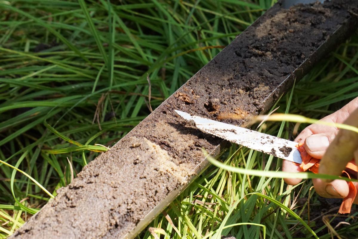 Photograph of a soil core.